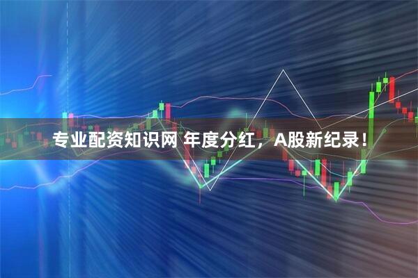 专业配资知识网 年度分红，A股新纪录！