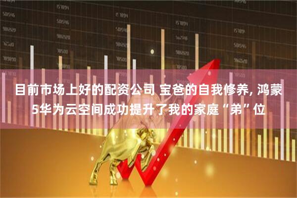 目前市场上好的配资公司 宝爸的自我修养, 鸿蒙5华为云空间成功提升了我的家庭“弟”位