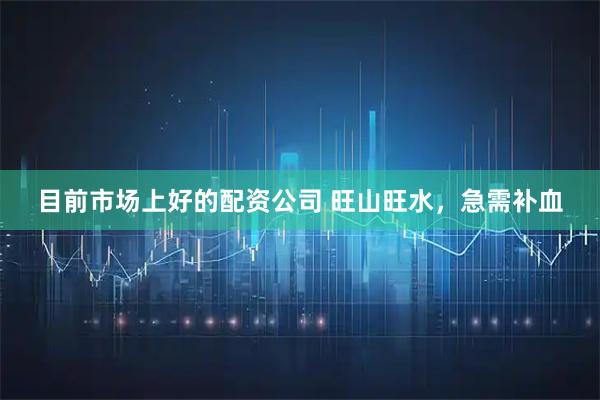 目前市场上好的配资公司 旺山旺水，急需补血